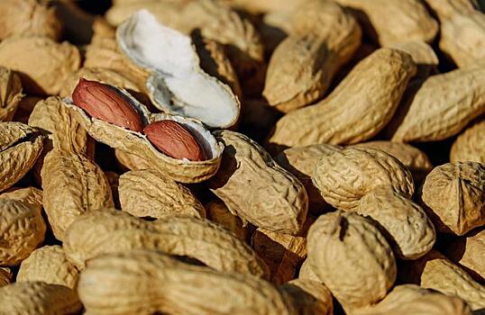 В Приморье обнаружили более пяти тонн китайского арахиса с опасным токсином