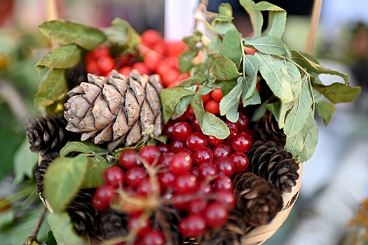 Народные приметы на 5 октября: Почему в этот день боялись ветра, но ловили шишки