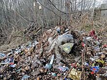 В рамках нацпроектов в Омской области ликвидируют две крупные свалки