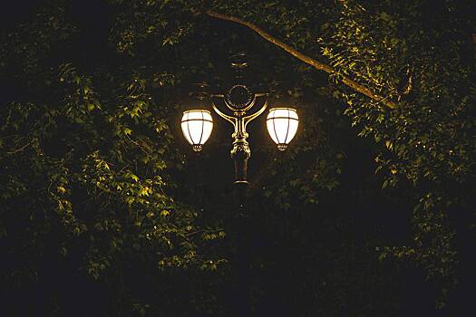 В городском освещении увидели опасность для насекомых