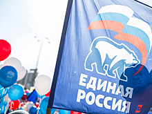 Единороссы-одномандатники не хотят идти под брендом партии