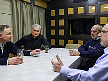 Президенты Литвы, Латвии, Эстонии и Польши выдвинулись в Киев «в решающий для страны момент»