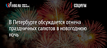 В Петербурге обсуждается отмена праздничных салютов в новогоднюю ночь