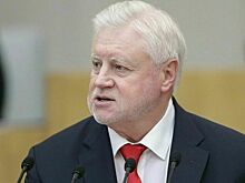 Депутат Миронов: Будем добиваться кредитных каникул для пострадавших заемщиков ИЖС