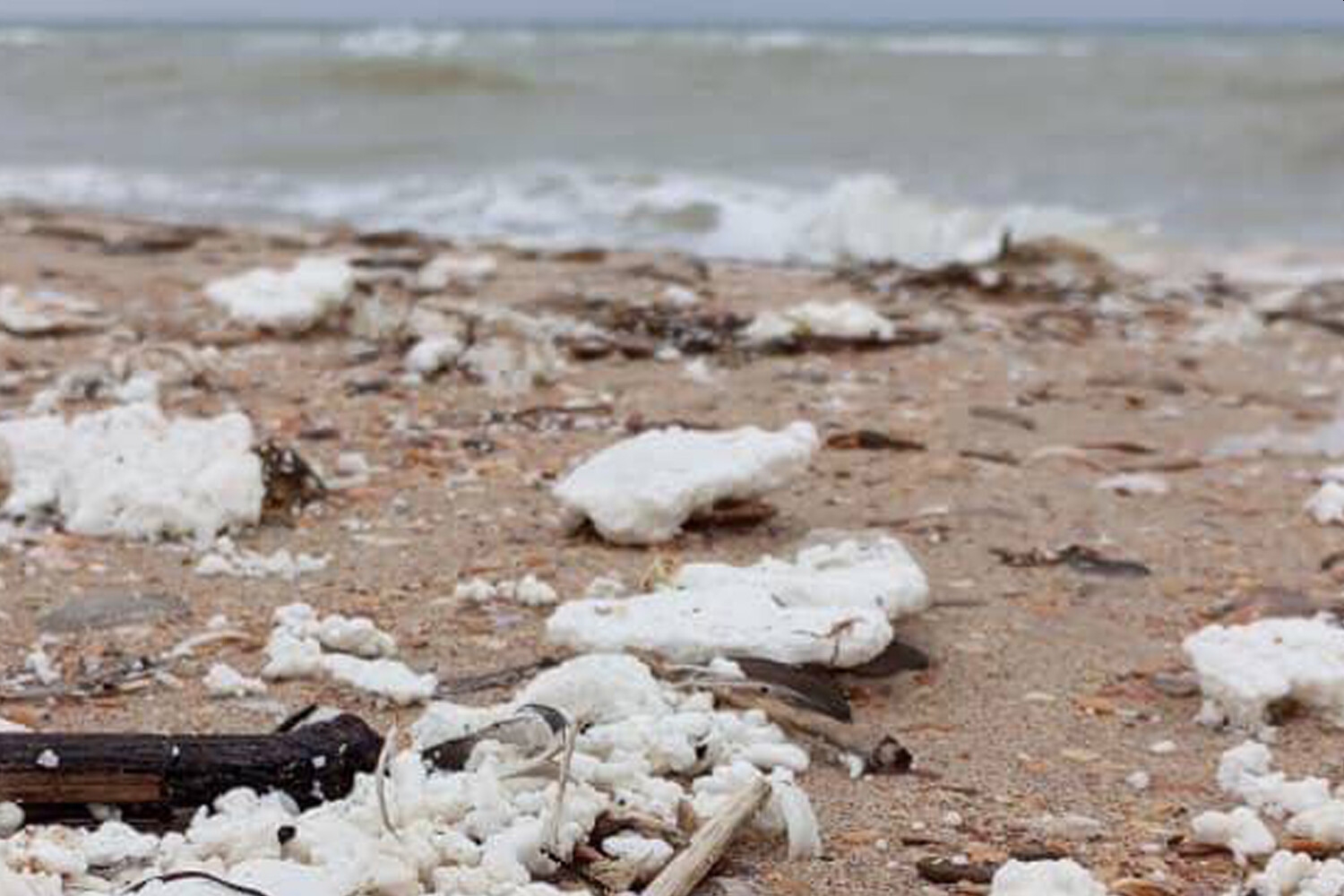 В Роспотребнадзоре назвали условия открытия пляжей в Анапе