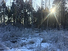 Будь в курсе: самые яркие события дня от 62ИНФО