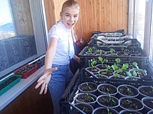 Сроки посева рассады томатов в апреле назвала эксперт Наталья Иванцова