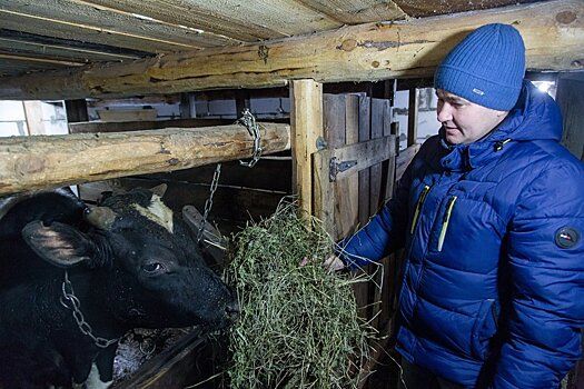 В Кировской области появятся пять новых молочных ферм