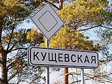 Генпрокурору России рассказали о новых бандах в прославившейся «цапками» Кущевке