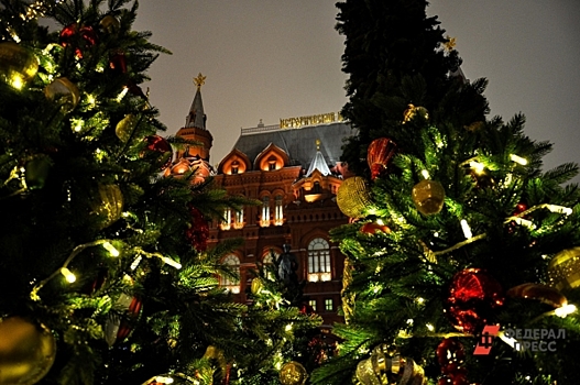 Стилист Скорокосова рассказала, в чем стоит встречать Новый год