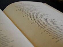 Дистанционные мастер-классы и спектакли пройдут в онлайн-режиме для жителей района Раменки