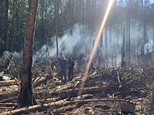 Появилась новая версия катастрофы Superjet 100 в Подмосковье