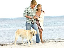 9 фильмов, похожих на «Хатико»