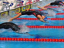 Контракт на чемпионаты по водным видам спорта в Казани ушел к выходцу из Минспорта Татарстана