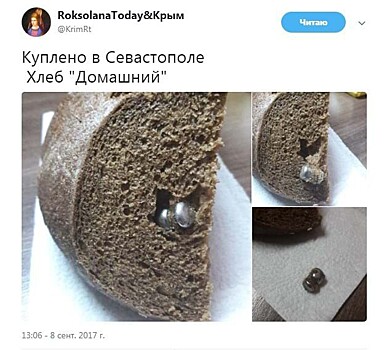 Пашинин был задержан в аэропорту Вены при попытке провезти труп собаки