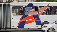 Общественный автобусный транспорт Челябинска: с подпоркой на частников