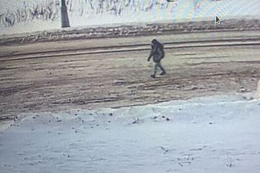 Отчим замерзшего насмерть 11-летнего мальчика обвинил в произошедшем водителя