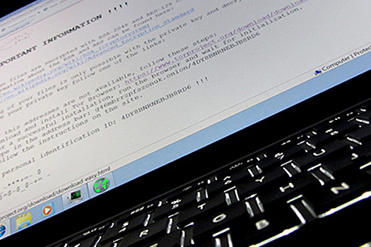 Tor уличили в отслеживании пользователей