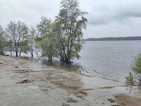 Тюменские предприниматели стали активнее страховать бизнес от паводка