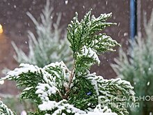 В Татарстане выпал первый снег