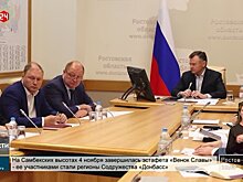 Информационно-аналитическая система Донского региона