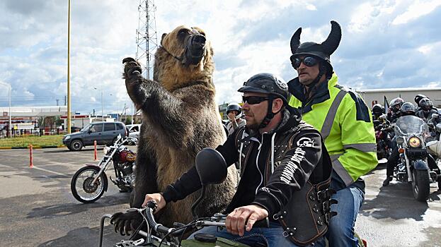 Добрый медведь Тим совершил мотопробег по улицам Вологды