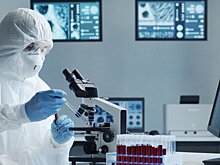 Инфекционист Шахмарданов назвал страны, где распространён вирус Чикунгунья