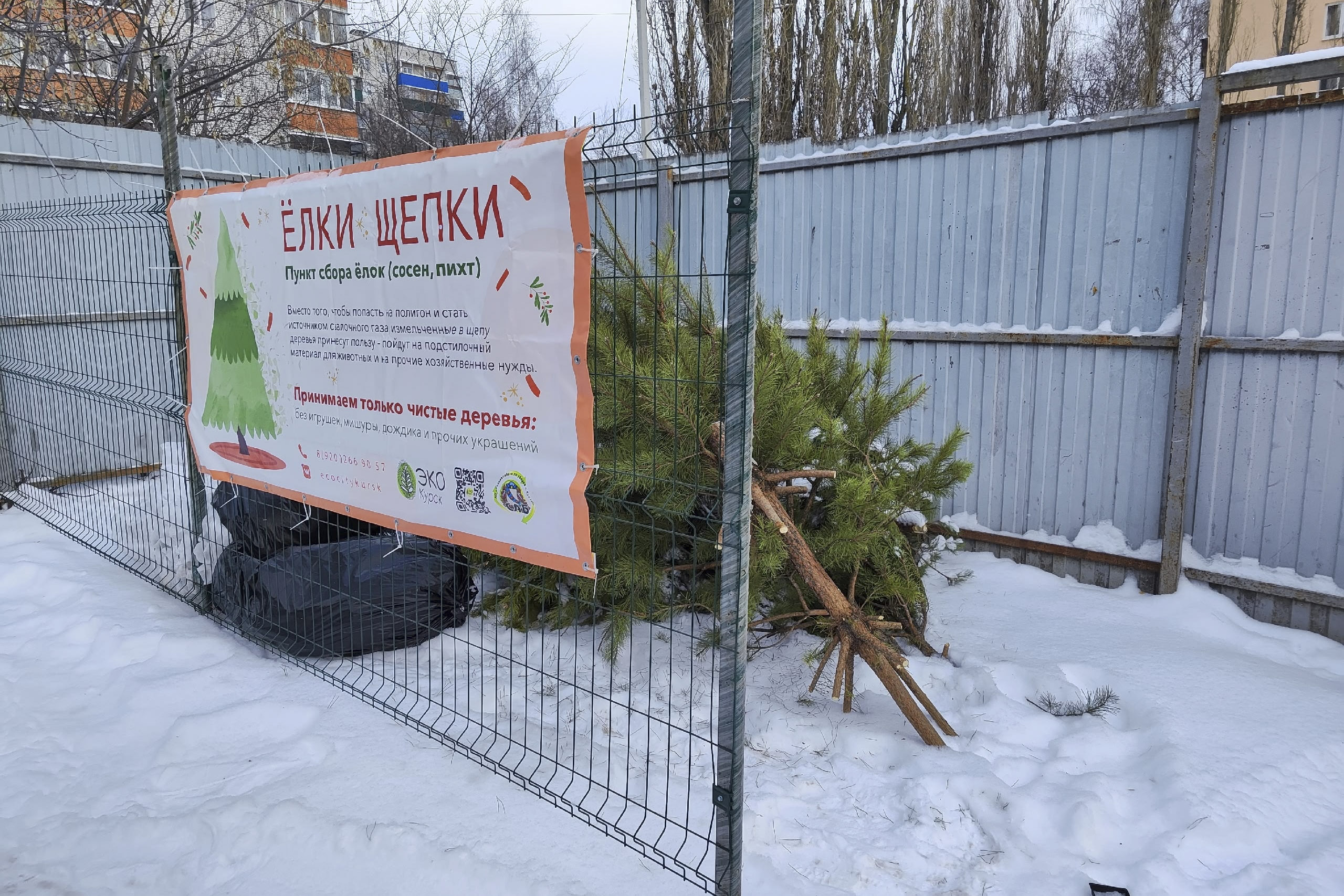 В контейнере ёлке не место