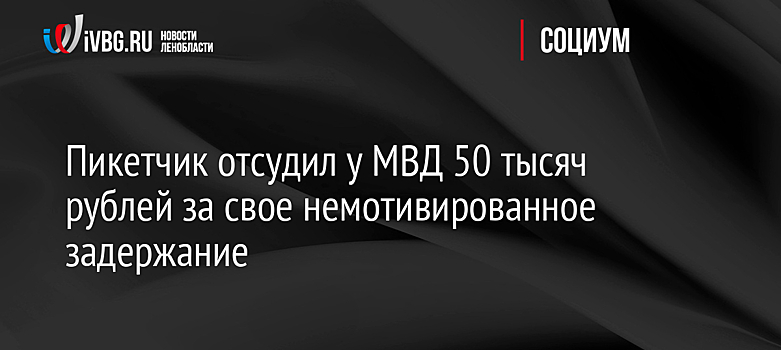 Пикетчик отсудил у МВД 50 тысяч рублей за свое немотивированное задержание