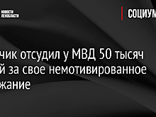 Пикетчик отсудил у МВД 50 тысяч рублей за свое немотивированное задержание