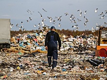 В Брянской области битва с мусором выходит на новый уровень