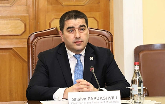 Спикер парламента Грузии потребовал извинений от Зеленского и Санду