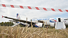 Пилот рассказал, почему решил сажать самолет в поле под Новосибирском
