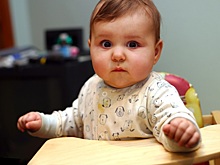 «Мартышка и очки»: пользователь Рамблера рассказала о розыгрыше для дочки