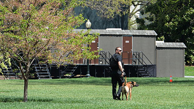 Что произошло 12 ноября: теракты в Бейруте и появление Секретной службы США