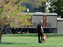 Что произошло 12 ноября: теракты в Бейруте и появление Секретной службы США