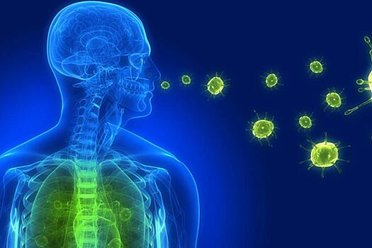 Сардины помогли ученым в прогнозе вспышек эпидемий гриппа