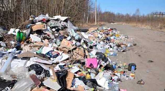 Ленинградцы поймали водителя, который нелегально сбрасывал мусор во Всеволожском районе