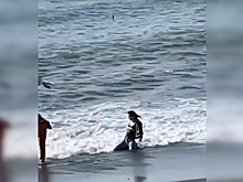 Девушка ради фото залезла в Черное море в одежде и рассмешила россиян