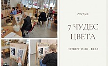 В библиотеке №172 открыли студию для долголетов  «7 чудес цвета»