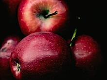 Врач развеял распространенный миф о яблоках