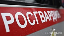 Более 30 нарушителей задержали росгвардейцы в Вологде