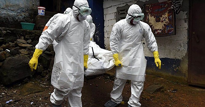 «Элита хочет 100 миллионов жертв»: эксперт предрёк пандемию «Болезни X»