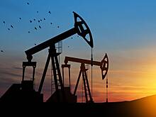 В США оценили перспективы мировых цен на нефть после обвала