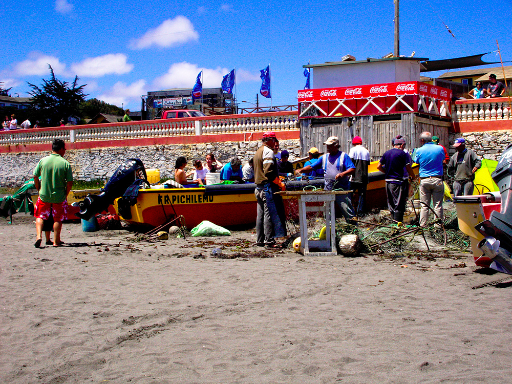 Пичилему, Чили, Чили