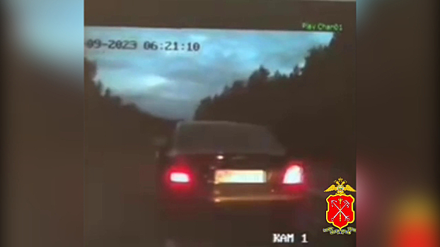 В Санкт-Петербурге полицейские применили оружие для остановки иномарки с нетрезвым водителем