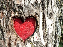 Россиянки рассказали, что им дарят мужья в День влюбленных