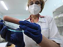 Куда подевались натуральные продукты питания?