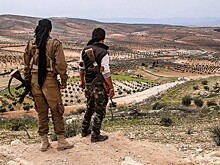 ВКП обсудит с Гатиловым якобы готовящуюся атаку сирийских властей