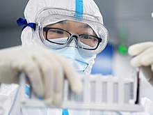 ВОЗ сообщила о риске новой мировой эпидемии